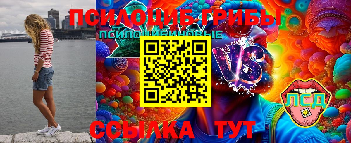 Псилоцибиновые грибы ЛСД  Псилоцибиновые грибы мухоморы  Вход с VPN  Лесозаводск 